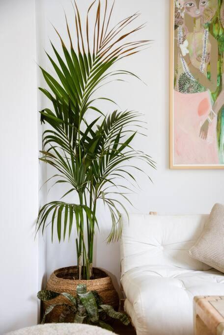 Mini Condo 2 Dl - Studio With A Private Patio Donja Lastva Buitenkant foto